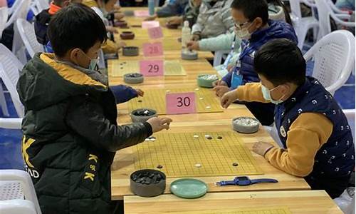 2017围棋升段赛对阵表,2017年围棋