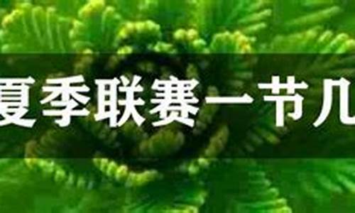 夏季联赛赛制-夏季联赛几分钟一节